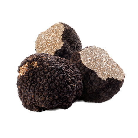 trufa-negra-otoño