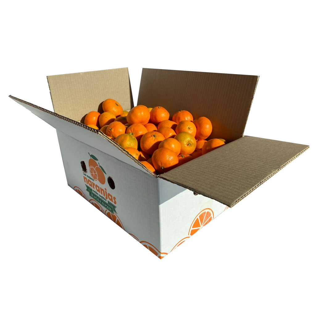 mandarina-frutanatur