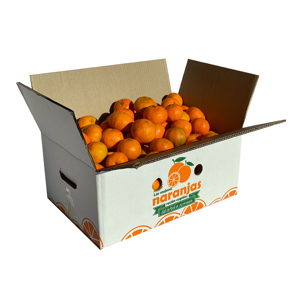 mandarinas-frutanatur