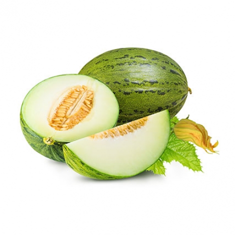 melon-frutanatur