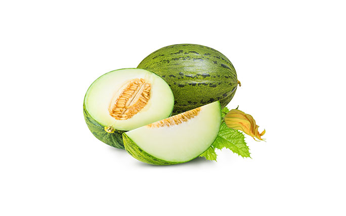 melon-frutanatur