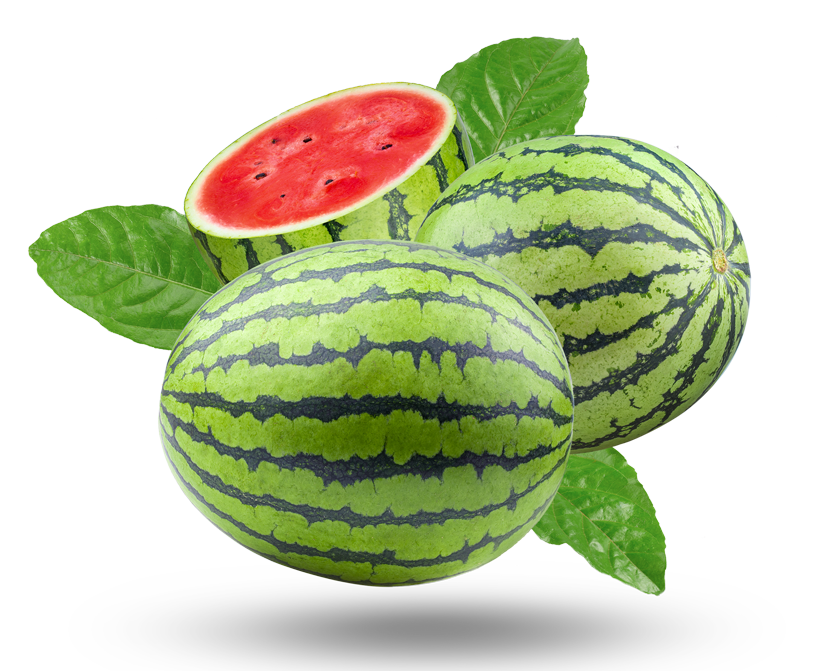 sandia-frutanatur